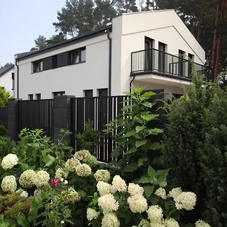Baltic Daire